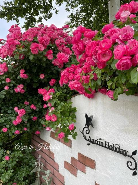 Agri In Holiday Hirosaki Exterior foto